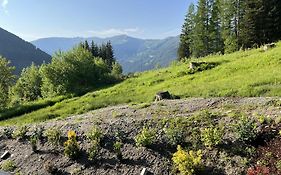 Chalet Tannalm